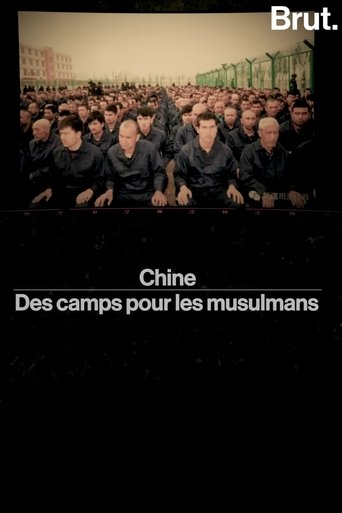 chine——des camps pour les musulmans