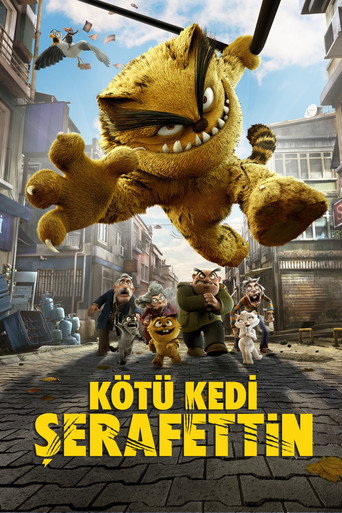 Okładka filmu Kocur