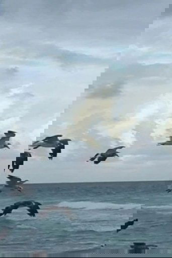 Flying to Nowhere