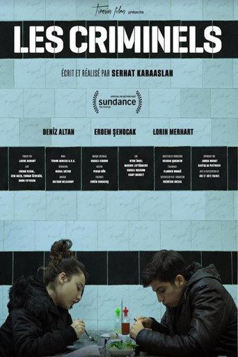 Okładka filmu Suçlular