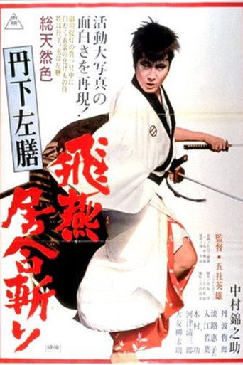 Okładka filmu 丹下左膳 飛燕居合斬り