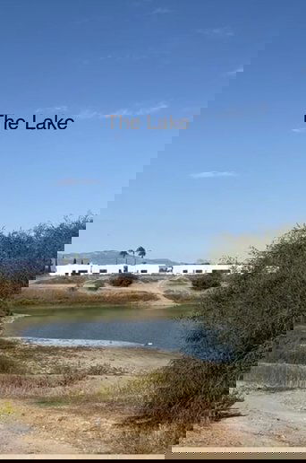 The Lake