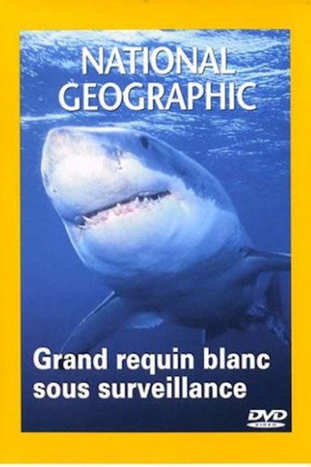 National Geographic : Grand requin blanc sous surveillance 在线观看和下载完整电影