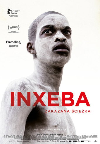 Okładka filmu Inxeba. Zakazana ścieżka