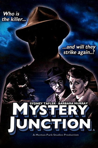 Mystery Junction 在线观看和下载完整电影