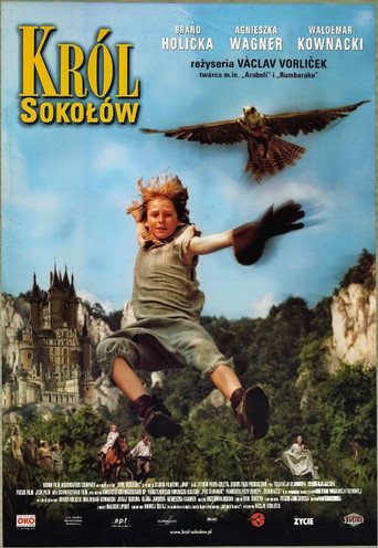 Okładka filmu Król sokołów