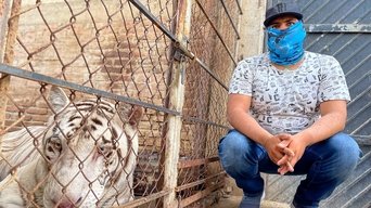 The Cartel Lifestyle: Drugs, Death & Pet Tigers