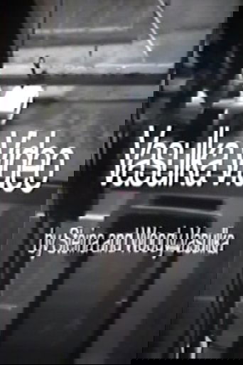 Vasulka Video