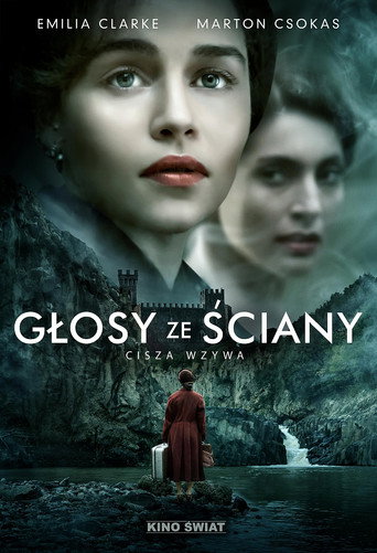 Okładka filmu Głosy ze ściany