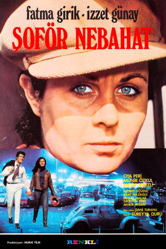 Okładka filmu Şoför Nebahat