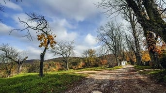 The Countryside