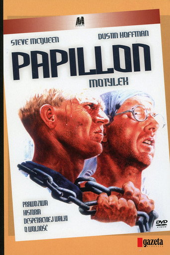 Okładka filmu Motylek
