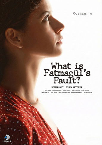 Poster de What is Fatmagul's Fault?