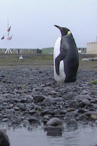 Iles Kerguelen: l'île aux savants