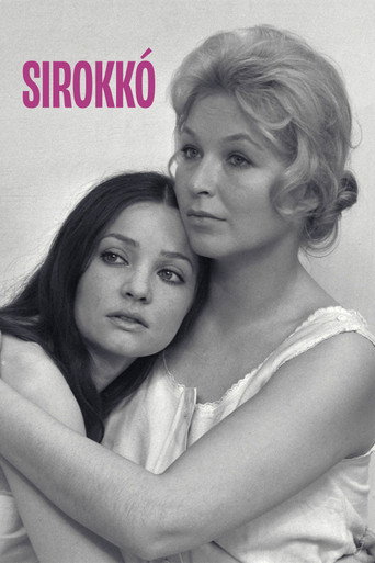 Okładka filmu Sirokkó