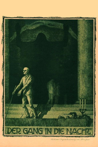 Okładka filmu Der Gang in die Nacht