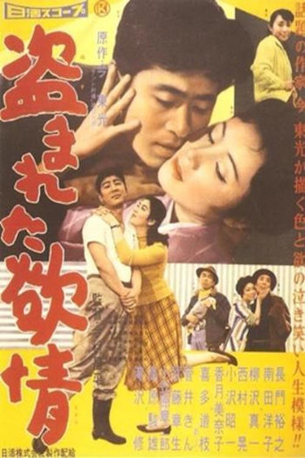 盗まれた欲情 在线观看和下载完整电影