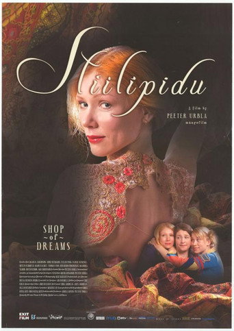 Okładka filmu Stiilipidu