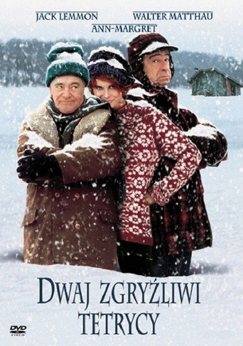 Okładka filmu Dwaj Zgryźliwi Tetrycy