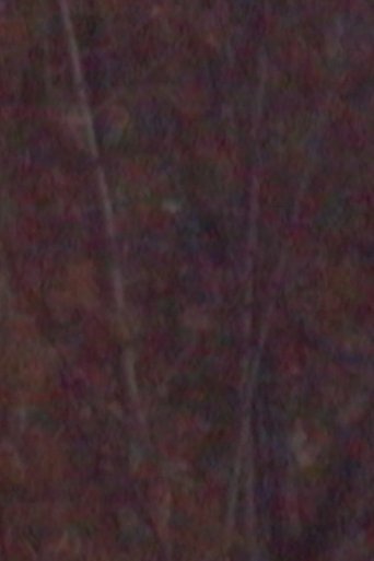 November