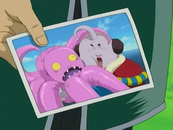 Responsible Owners Should Clean Up After Their Pets!