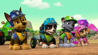 Dino Rescue: Pups and the Lost Dino Eggs