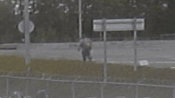 Alaska Serial Killer