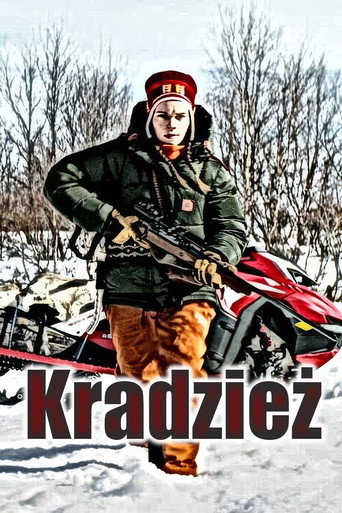 Okładka filmu Kradzież