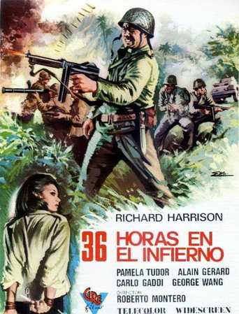 Okładka filmu 36 ore all'inferno