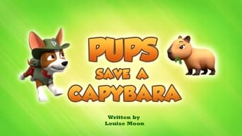 Pups Save a Capybara