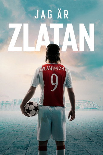 Okładka filmu Jag är Zlatan