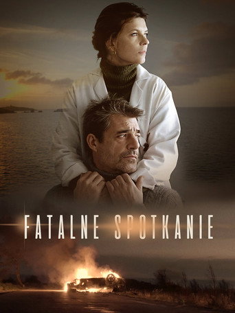 Okładka filmu Fatalne spotkanie