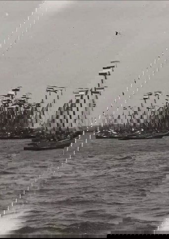 Dutch Fishing Fleet