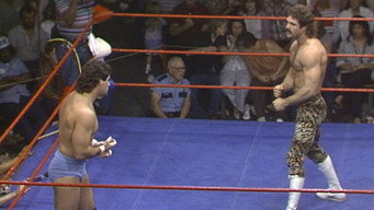WCCW - May 03, 1986