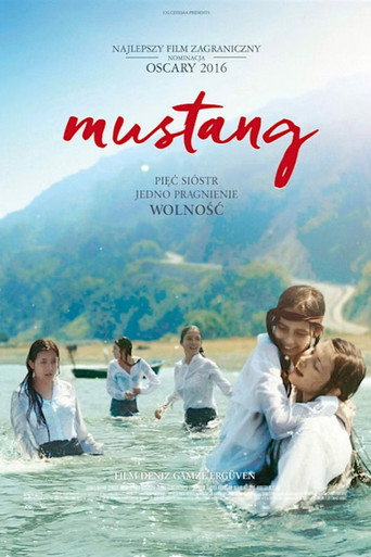 Okładka filmu Mustang