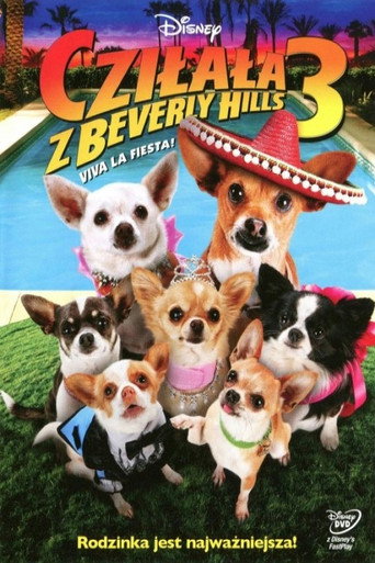 Okładka filmu Cziłała z Beverly Hills 3