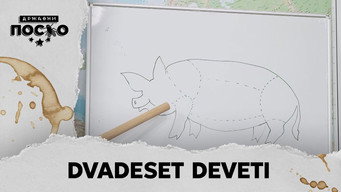 2458 Dvadeset deveti