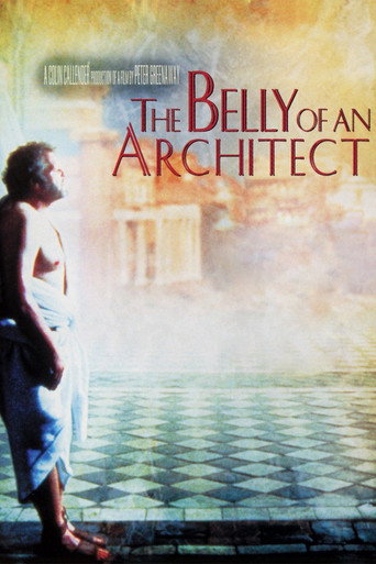 The Belly of an Architect 在线观看和下载完整电影