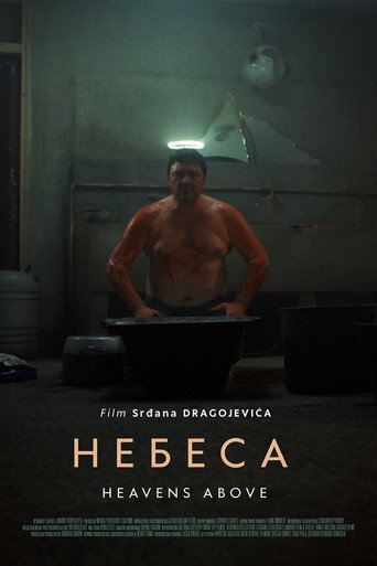 Okładka filmu Niebiosa