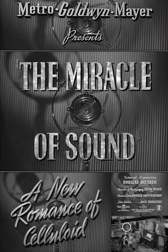 The Miracle of Sound 在线观看和下载完整电影