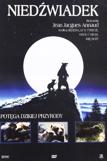 Okładka filmu Niedźwiadek
