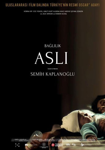 Bağlılık Aslı HD|1080p|4K| 香港流媒體