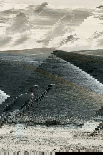 The Road To Podestaria