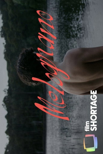 Okładka filmu Melograno