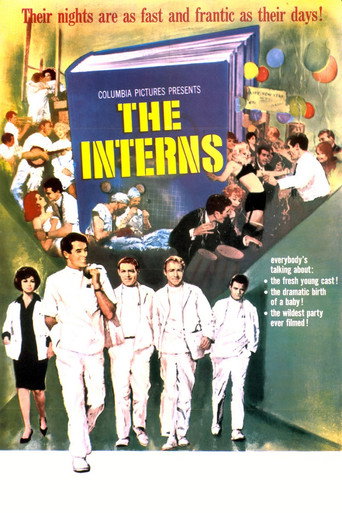 The Interns 在线观看和下载完整电影
