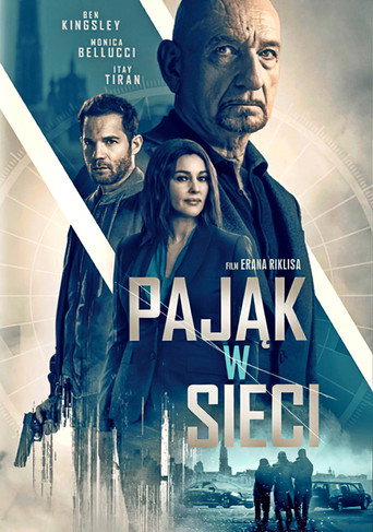 Okładka filmu Pająk w sieci