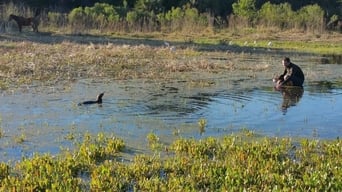 Save Your Breath: Otter