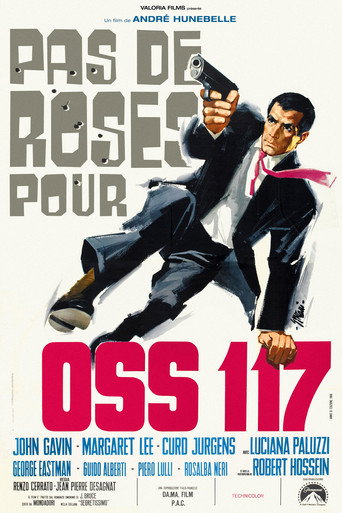 Niente rose per OSS 117 在线观看和下载完整电影