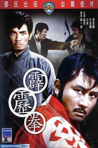 Okładka filmu 霹靂拳