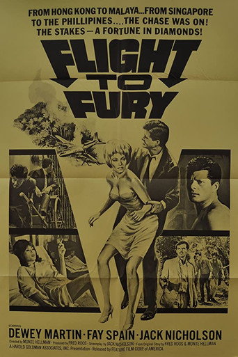 Flight to Fury 在线观看和下载完整电影